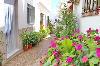 Estudio Nardo - Conil de la Frontera - 9
