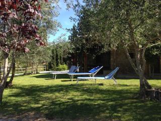 Podere Poggio Benedetto - Saturnia - 9