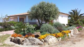 Agriturismo Sa Suerera - Olmedo - 6