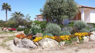 Agriturismo Sa Suerera - Olmedo - 5