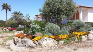 Agriturismo Sa Suerera - Olmedo - 3