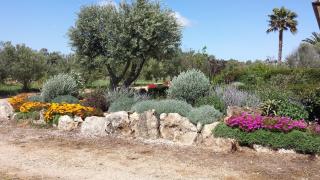 Agriturismo Sa Suerera - Olmedo - 1