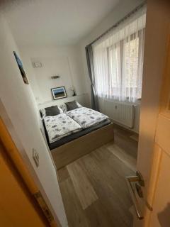 Rocky Apartment - Rokytnice nad Jizerou - 9
