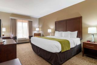 Comfort Inn & Suites - Griffin - 5