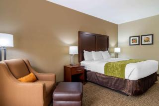 Comfort Inn & Suites - Griffin - 3