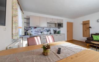 Haus Pitzer/Apartments Troicher - Schladming - 4