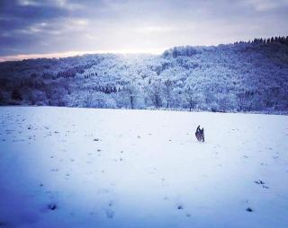 La Maison du Sabotier - 4