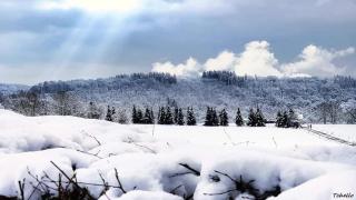 La Maison du Sabotier - 0