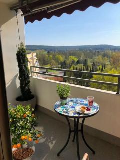 Cozy Apartment mit malerischem Ausblick - Bayreuth - 9