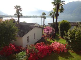 Residenza Paradiso di Vacanze - Locarno - 6