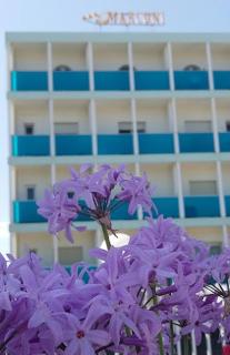 Hotel Spiaggia Marconi - 8