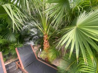 NEW HOUSE TROPIC PARADISE with Pool - Willemstad - 3