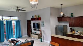 Casa Pinto Guest Apartment - Kingston - 8