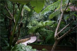 Alam Ubud Culture Villas And Residences - Ubud - 9