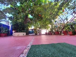 Exclusive Villa Pichi - 7