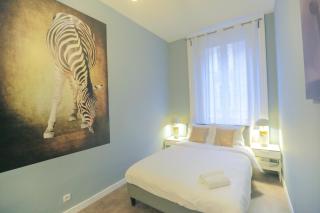 La Jungle, T5 hypercentre chic et cosy, wifi, netflix par SOVALFI - 6