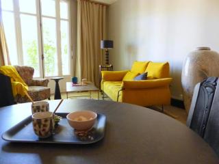 Appartement élégant et confortable au cœur de Vichy, près de l'Opéra et des Parcs Napoleon III - FR-1-489-303 - Vichy - 0