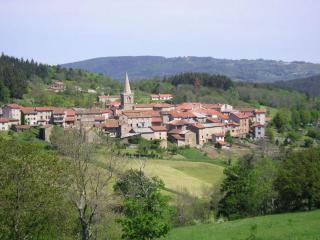Gîte charmant avec cheminée, terrasse et borne de charge, à Saint-Didier-sur-Rochefort - FR-1-496-12 - Saint-Didier-sur-Rochefort - 7