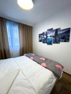 Apartman Maksim Ravna Planina - 2