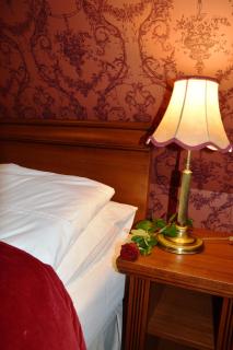 Hotel Pałac Borynia - 8