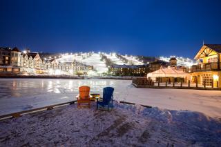 Wintergreen - Blue Mountains - 8