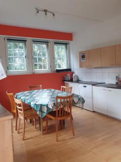 Zentral gelegene Wohnung mit grossem Garten - 1
