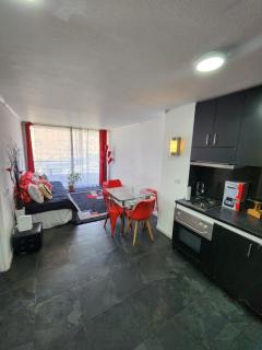 Providencia Cercano a Clínicas y Hospitales - 6