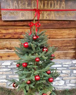 Jabłoniowa Chatka - Kalwaria Pacławska - 5