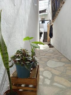 La Casa Del Rio - Cozy Rooms and Coworking - San Cristóbal de Las Casas - 6