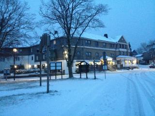 Hotel Altastenberg - Winterberg - 4
