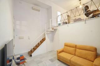 Optimus duplex loft - Sevilla - 5