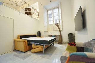 Optimus duplex loft - Seville - 3