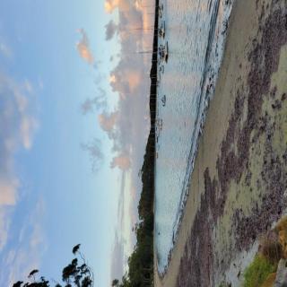 CHAP41C - Coco Veranda - Callala Bay - 1