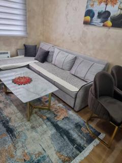 Apartman Stojanovic 2 - Zlatibor - 1