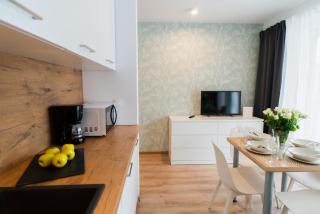 Świerkowy 5 Dolina Szczęścia Apart Invest - Szklarska Poręba - 4