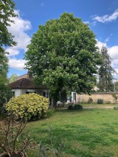 Country house - 5 mns from Fontainebleau - 3
