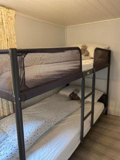 The Old Thatch, Lemybrien - 4