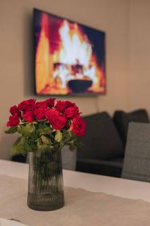 Lapinmaa Apartments - Rovaniemi - 9