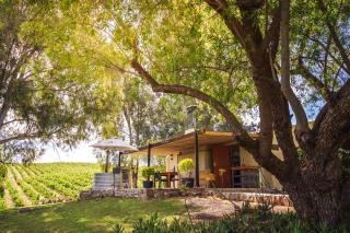 Arendsig Wine Estate & Cottages - Bonnievale - 7