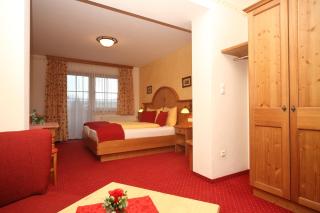 Hotel Garni Landhaus Trenkenbach - Schladming - 8