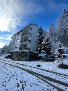 Vila Predeal Holidays - Predeal - 6