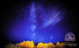 BLUESKY by Camelo Casas de Campo - Camelo - 5