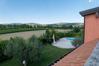 Azienda Agricola Ponterotto - Mirabella Eclano - 7