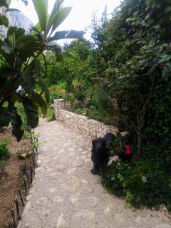 Villa Victoria - Gradac - 6