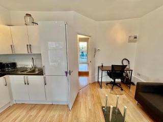 Modern apartment with large patio in central Marylebone - Londra - 2