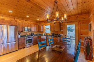 Mountain Laurel Lodge - Vilas - 2