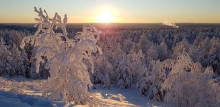 VillaSki - Rovaniemi - 1