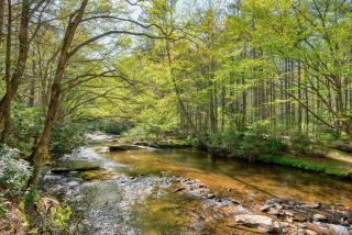 Wounded Fork - Valle Crucis - 5