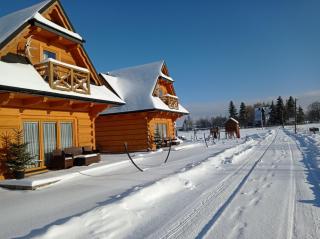 Domki Masny Chochołów - 9
