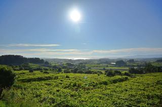 Dúplex da Pedra e da Auga - Meis - 3